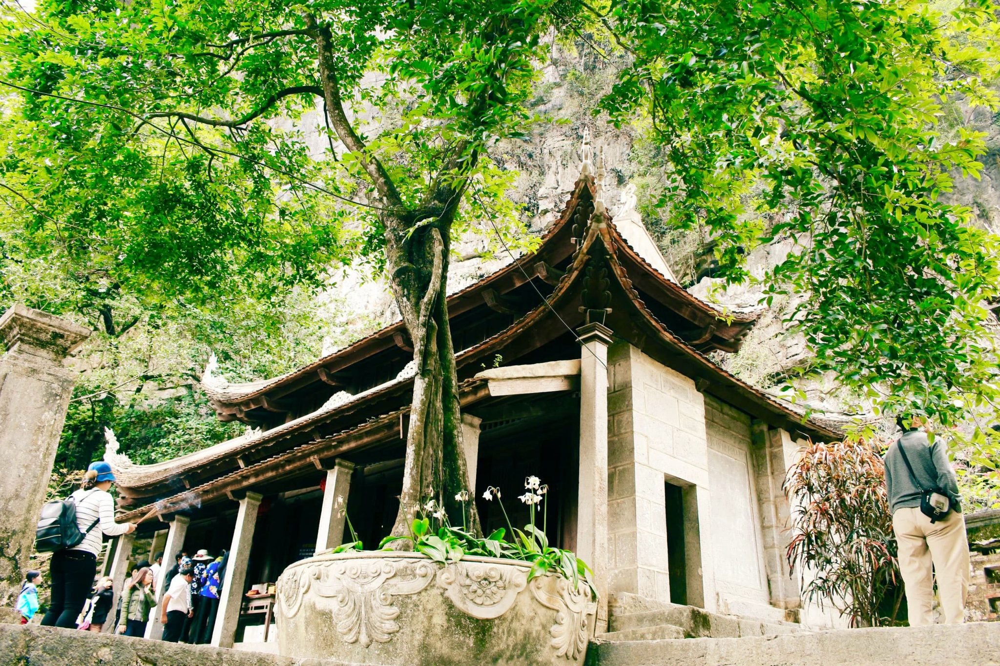 Hanoi to Ninh Binh to see Lower Pagoda