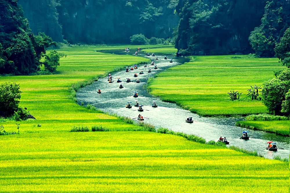 Hanoi to Ninh Binh to see rice paddies 2