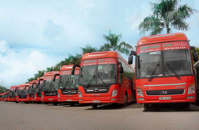 phuong trang buses with ograne color