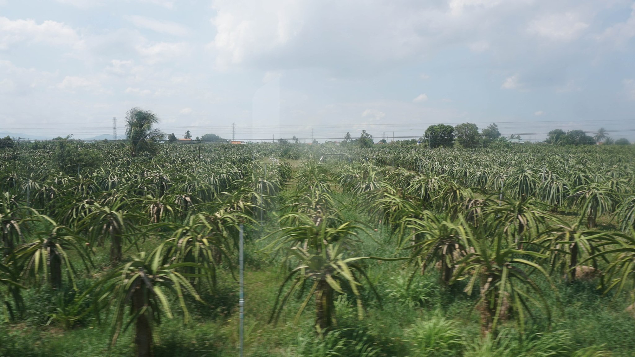 Saigon to Phan Thiet by train