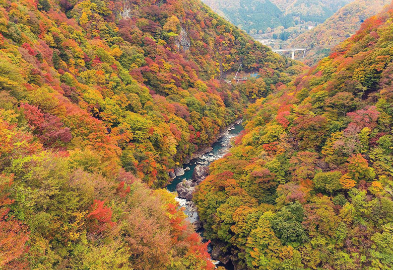 Book your train tickets to Kinugawa
