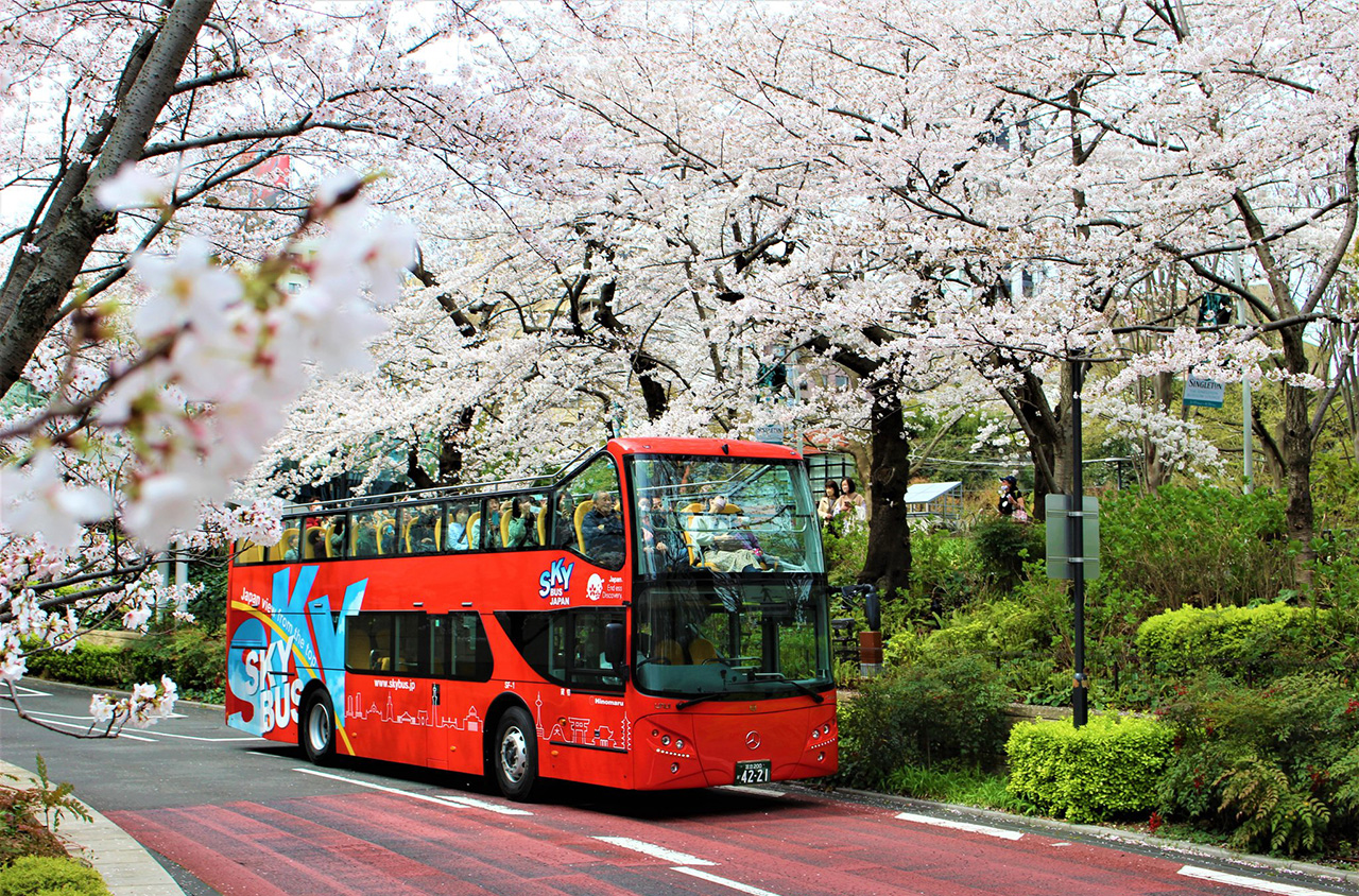 Book your bus tickets in Japan