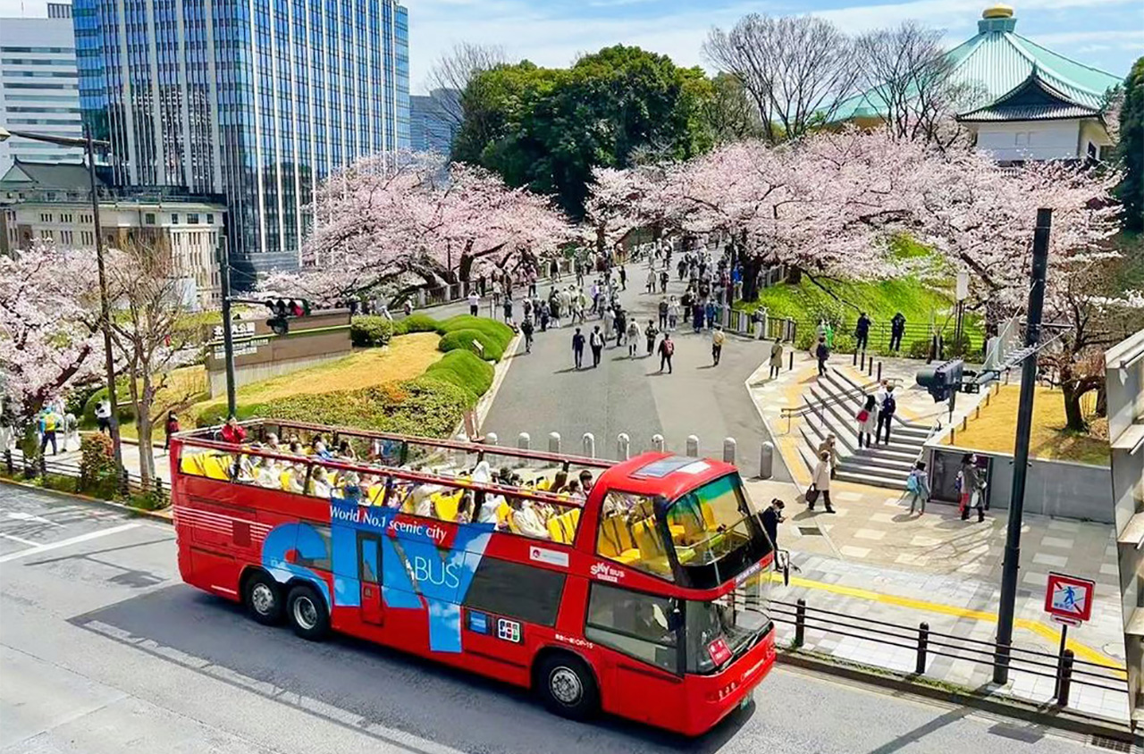 Book your bus tickets in Japan
