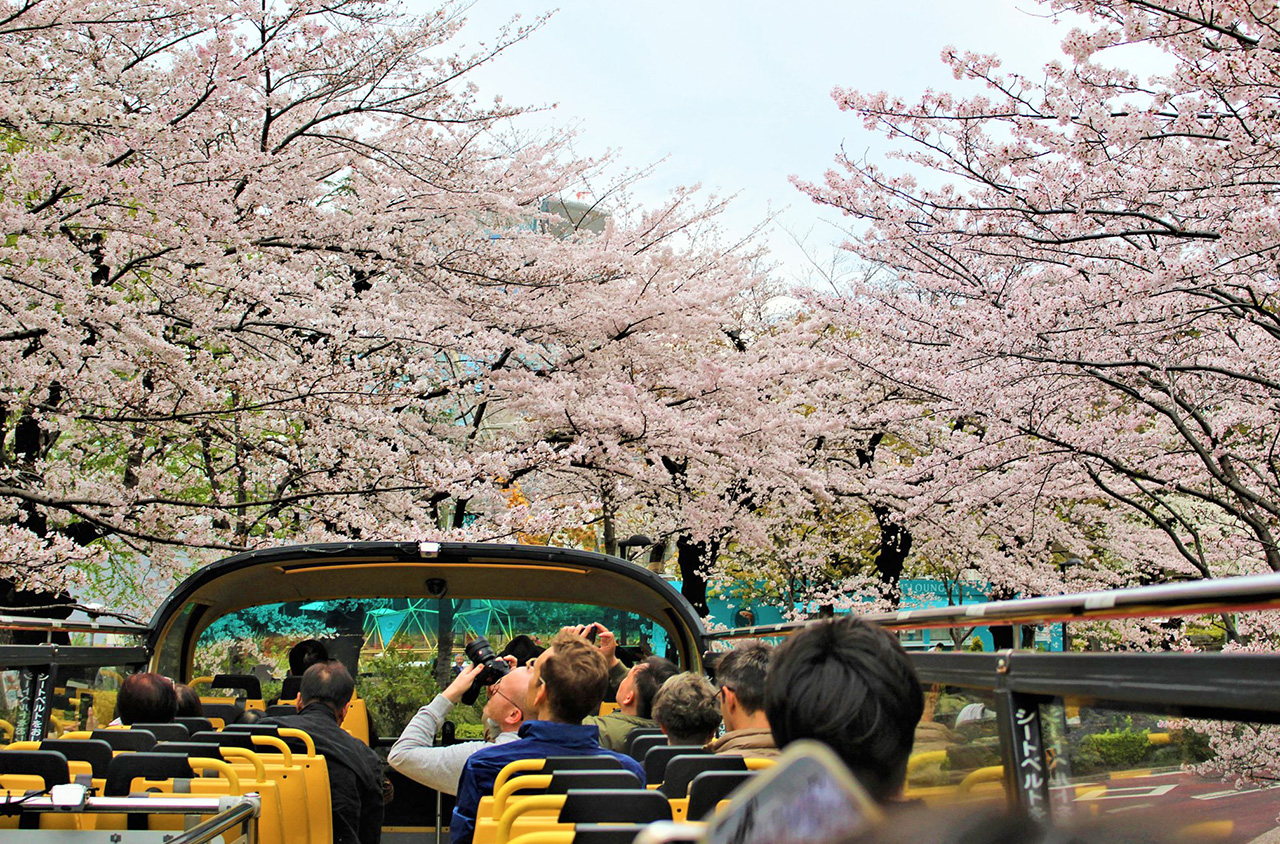 Book your bus tickets in Japan