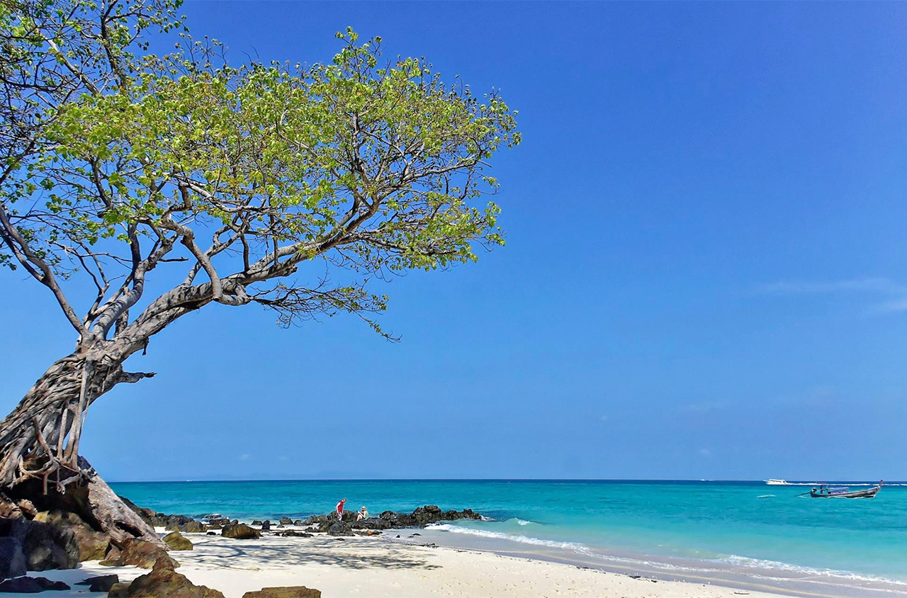 Book your boat tour in Thailand