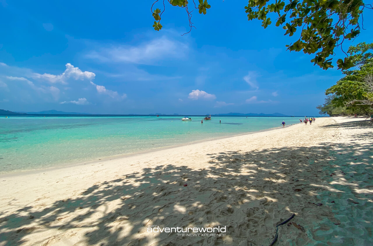 Book your boat tour in Thailand