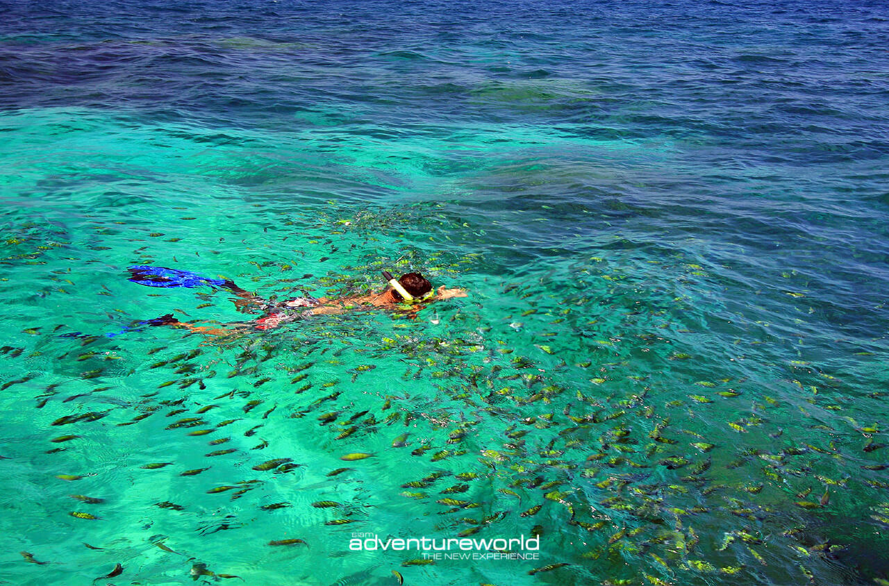 Book your boat tour in Thailand