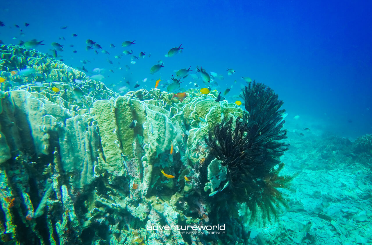 Book your boat tour in Thailand