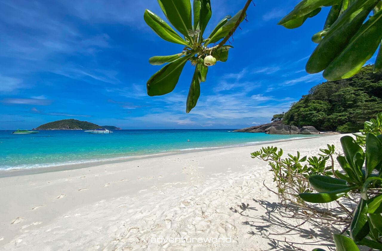 Book your boat tour in Thailand