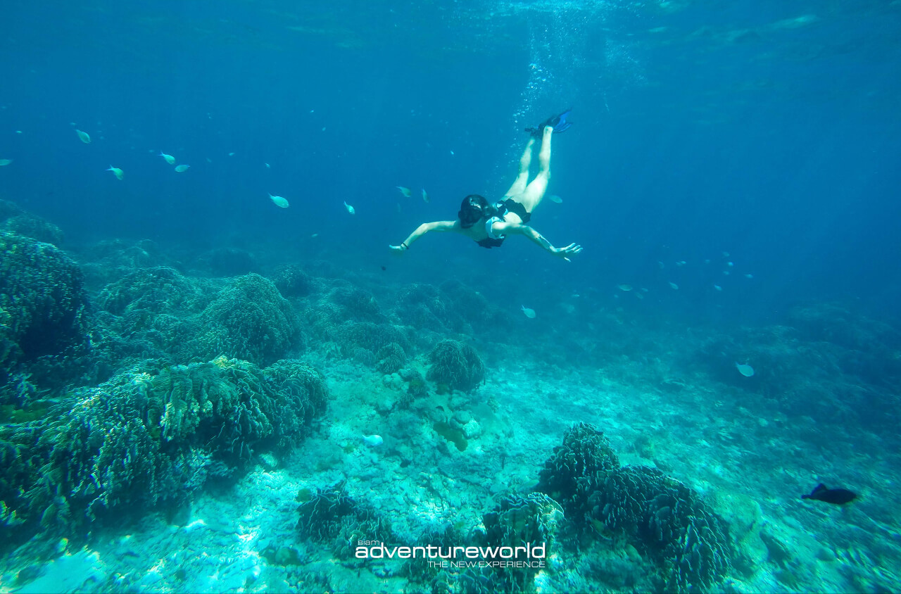 Book your boat tour in Thailand