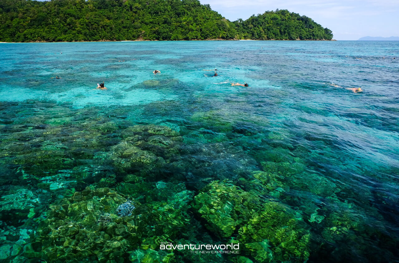 Book your boat tour in Thailand