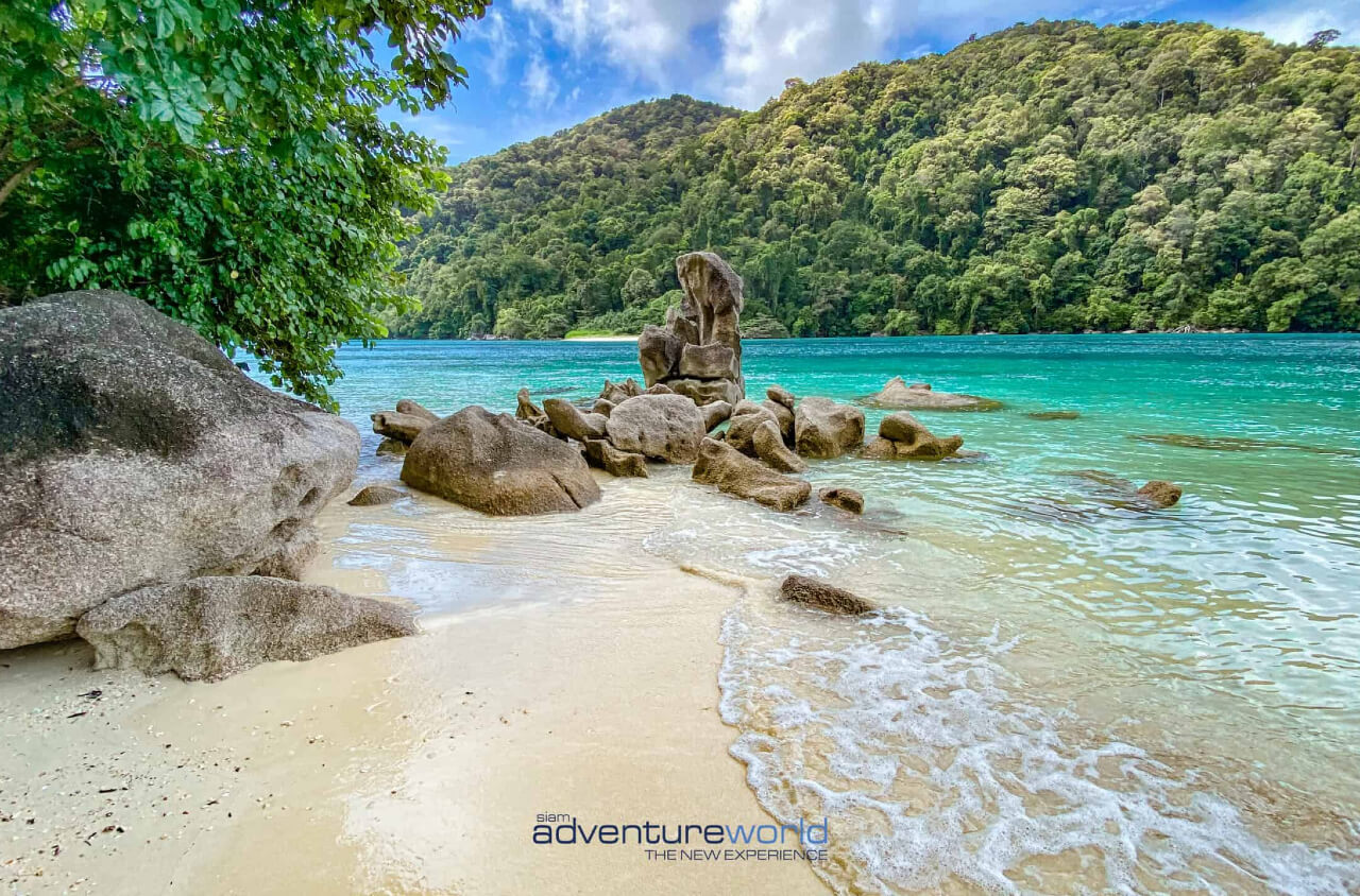 Book your boat tour in Thailand