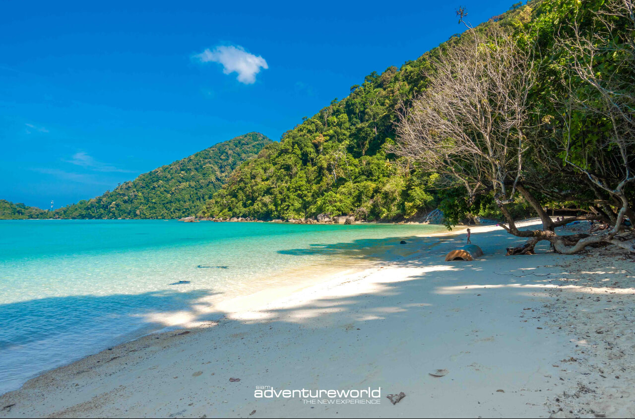 Book your boat tour in Thailand